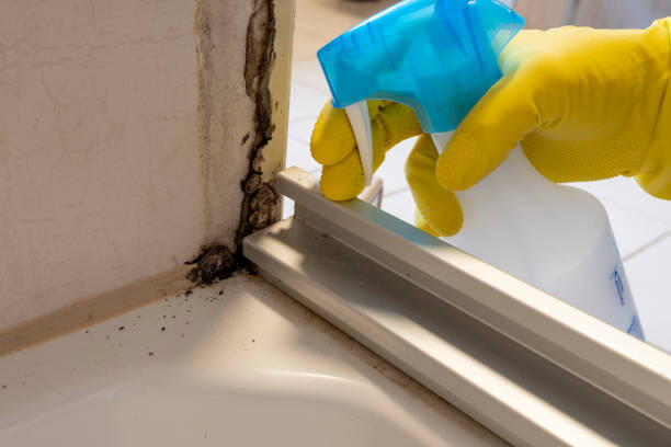 Best Mold Testing  in Paradise Hills, NM