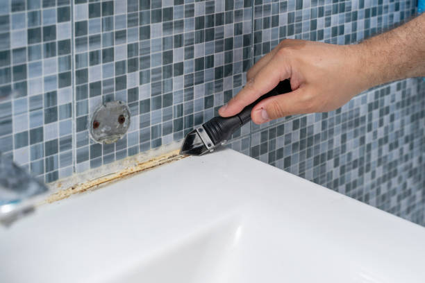 Trusted Paradise Hills, NM Mold Removal Experts